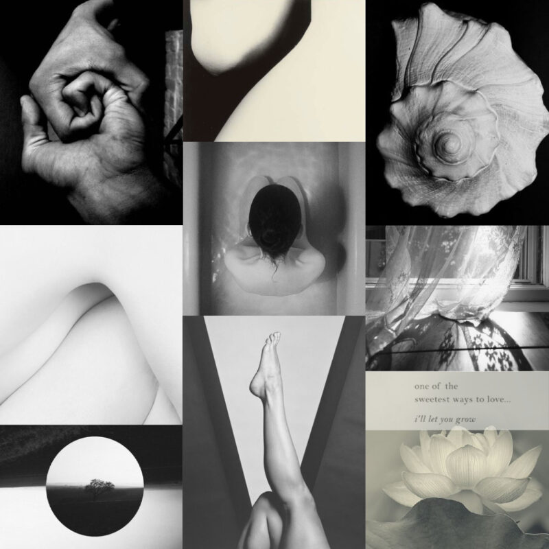 moodboard